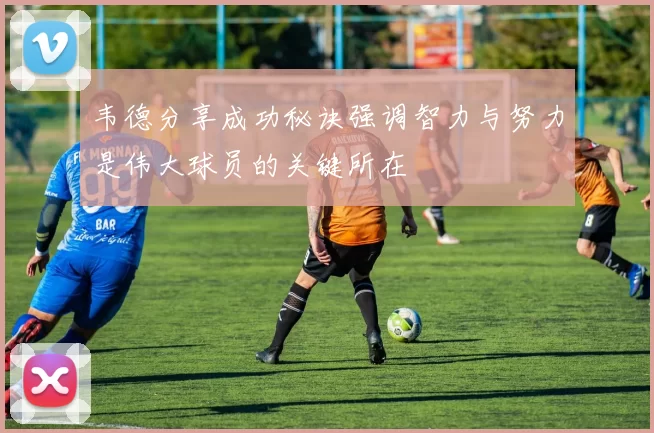韦德分享成功秘诀强调智力与努力是伟大球员的关键所在